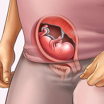 Những thay đổi của thai nhi tuần thứ 15