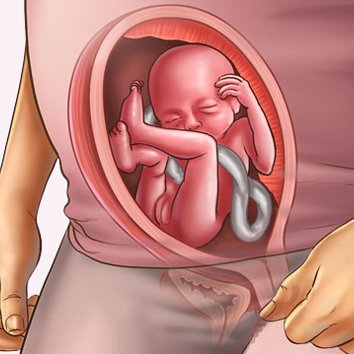 Những thay đổi của thai nhi tuần thứ 20
