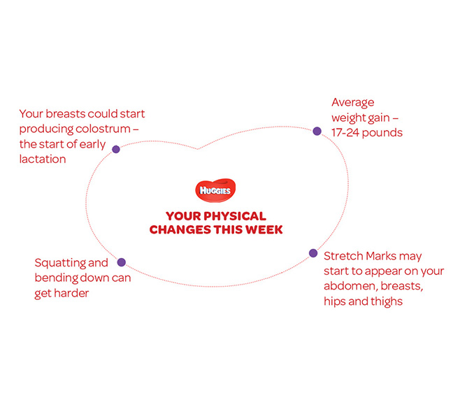 Your Physical Changes on 28th  week