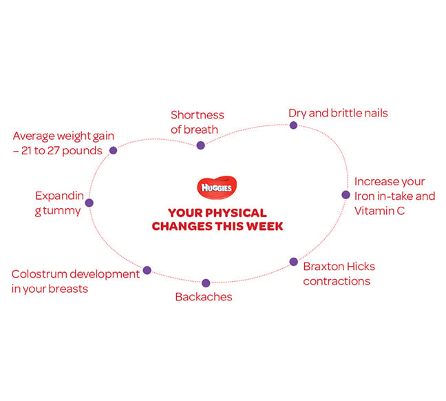 Your Physical Changes on 31st  week