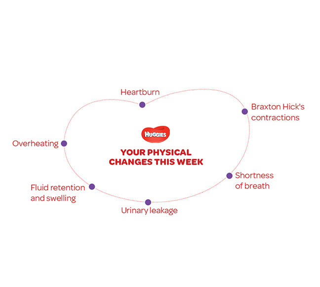 Your Physical Changes on 33rd  week