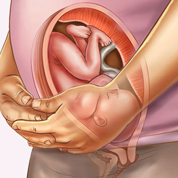 Những thay đổi thai nhi tuần thứ 31