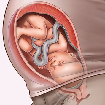 Những thay đổi thai nhi tuần thứ 34